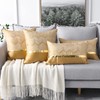 Set of 2 Throw Pillow Covers for Bed Couch Sofa