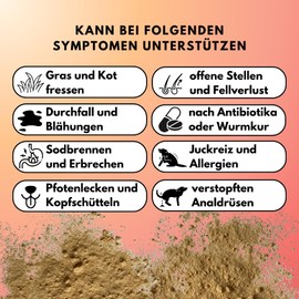 People who Kaer Probiotic Complex Powder for Dogs, 2 x 200 g - Build Intestinal Flora Dog, Intestinal Bacteria for Dogs, Intestinal Restoration Supplement, Intestinal Health