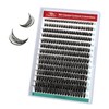 FADVAN Cluster Eyelash Extensions 280pcs 60D Lash Clusters DIY Lash