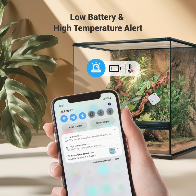INKBIRD WiFi Thermometer Hygrometer