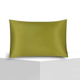 LEIMRA SILK 100% Pure 22 Momme Mulberry Satin Silk Olive Colour with Silver IONS Infusion Pillowcase Envelop Closure Anti Acne Silk Antibacterial Standard Size with Free Premium Laundry MESH Bag