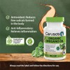 Caruso's Organic Oregano Oilcaps 60