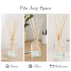 Barr-Co. Fir & Grapefruit Scent Diffuser Kit, Bright Grapefruit &