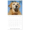 Happy Golden Retriever (Wall Calendar 2026 12" x 24" /