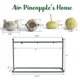 Gniliny Hanging Air Plant Holder：8 Pack Ceramic Air Plant Cradle with Rack for Indoor Outdoor Decor - Air Plant Display Container for Home Office Garden