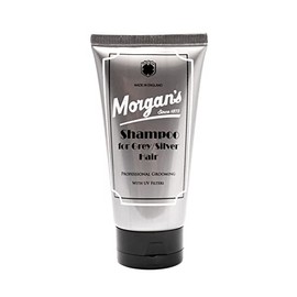 Shampoo for Grey/ Silver Hair