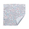 Toray Toraysei Cleaning Cloth, 9.4 x 9.4 inches (24 x