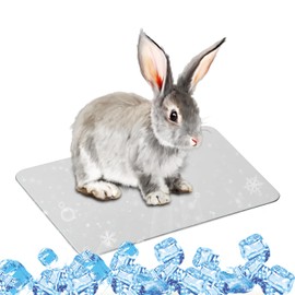 SilverChry Aluminium Alloy Cooling Plate, 30 x 20 cm Cooling Mat for Pets, Pet Cooling Mat, Summer Ice Bed for Cooling Pets, Guinea Pigs, Hamsters, Rabbits and Other Pets
