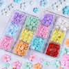 Wambere 1 Box of 6 Grids 3D Flower Pearl Nail