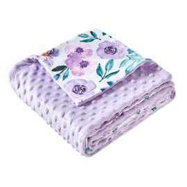 iEvolve Baby Nursery Bed Blankets Ultra Soft Double Layer Mini Blanket Minky Blanket Receiving Blankets Shower Gifts(30"*40",Roses)