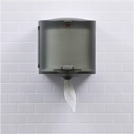 Genuine Joe Centerpull Paper Towels (Pack of 6)