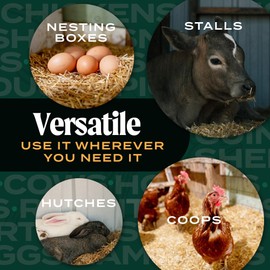 HealthiStraw HealthiStraw FarmStraw Coarse Cut, 3 cu ft - All-Natural Wheat Straw Animal Bedding for Homesteads, Hobby Farms, Small Pets - Absorbent, Fluffy, Insulative - Sustainably Sourced