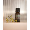 Natio Australia Wellbeing Pure Essential Oil Blend - Relax 10ml