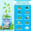 Sea Moss Gummies + Omega-3 Vegan Supplement for Man Women,