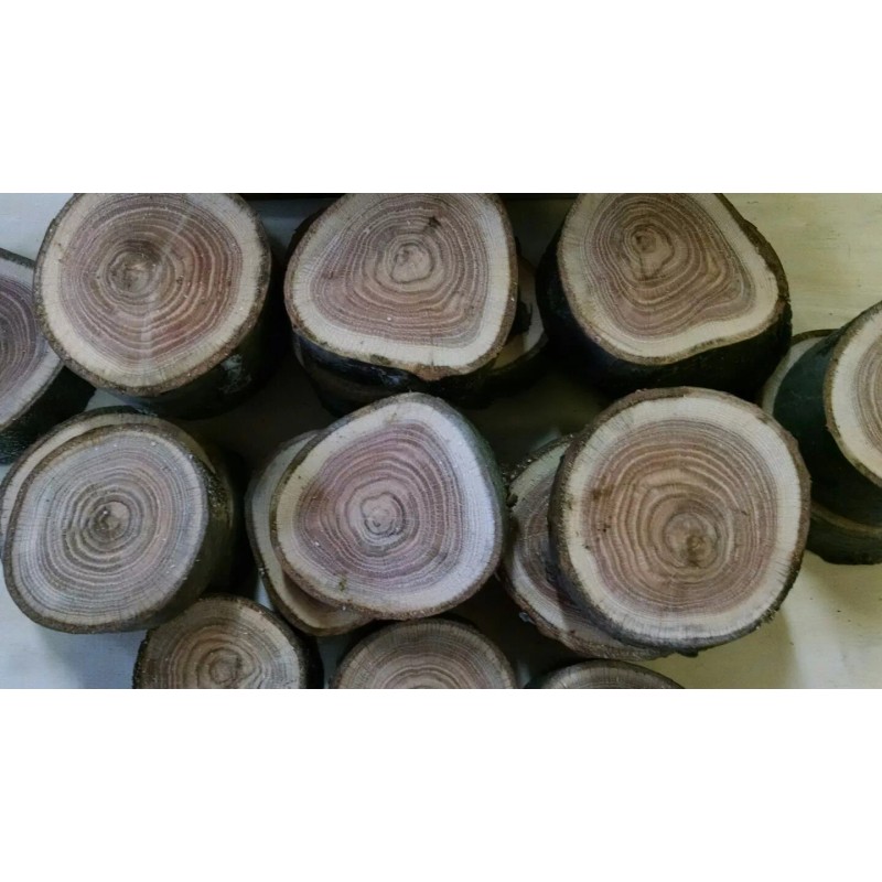 Red Oak Wood Chunks/Slices for BBQ/Grilling/W