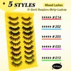 10 Pairs 5 Styles Mixed Clear Band Artificial Eyelashes Cat