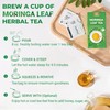 LeafLea Moringa Tea, 120 Fresh-Sealed Tea Bags, Premium Herbal Blend