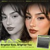 Lash Clusters with Spikes Manga Eyelash Clusters Wispy Anime Lash