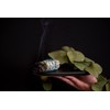 3-Piece Sage Smudging Kit - White, Dragon's Blood, and Black