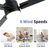 LANMEL 42'' Black Ceiling Fans with Lights and Remote, 6