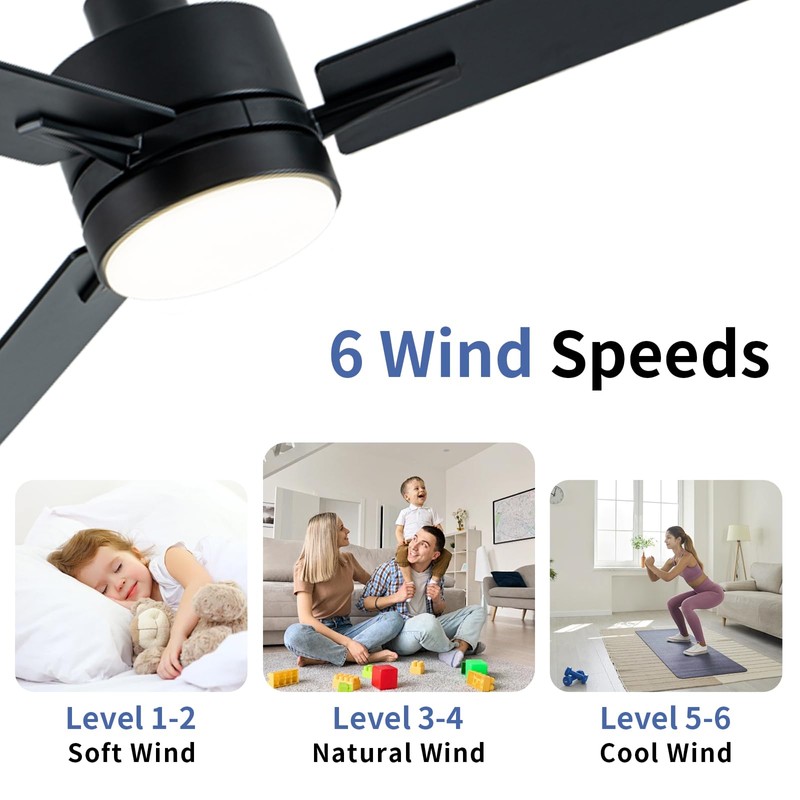 LANMEL 42'' Black Ceiling Fans with Lights and Remote, 6