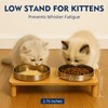 DoogCat Elevated Cat Bowls for Indoor Cats – Raised Bamboo