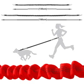 Aiqeer Orange Hands Free Dog Leash, Adjustable Waist Belt and Retractable Bungee Leash, Jogging Dog Leash with Reflective Stitching (Grey Handle)