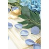 Floroom 300pcs Rose Petals Dusty Blue Faux Silk Flower Petals