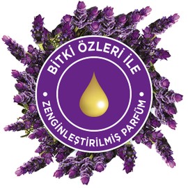 Glade Automatic Spray Refill 175G (269Ml) Lavender Package May Vary) Pack of 3