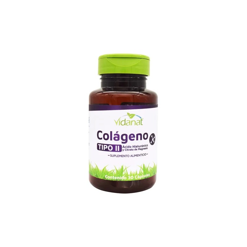 Colageno Tipo Ii Ácido Hialurónico Magnesio 30 Cáp Vidanat Sabor