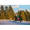 TrailMax English & Endurance Horse Saddle Bag; Horse Cantle Bag