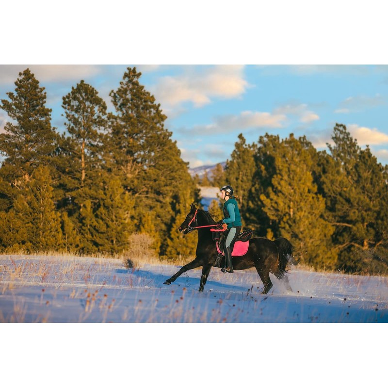TrailMax English & Endurance Horse Saddle Bag; Horse Cantle Bag