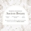 Anima Mundi Apothecary Matcha en Polvo