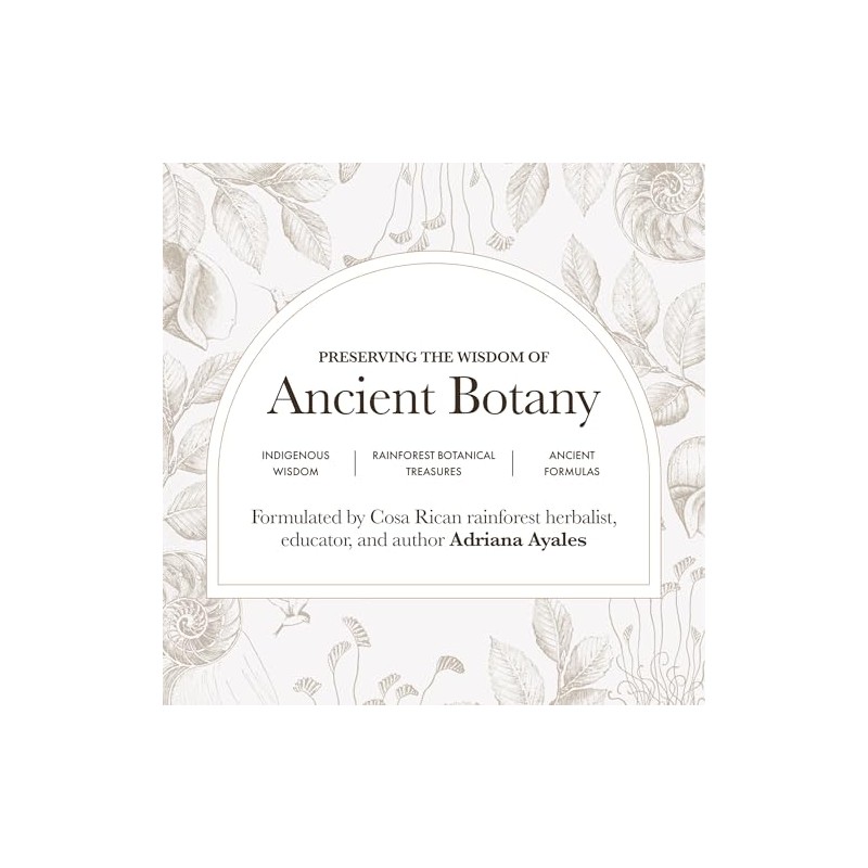 Anima Mundi Apothecary Matcha en Polvo