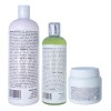 Kit Brasileña Silver 1l, Sellador 300ml, Shampoo Lp 500ml
