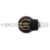Aurawerk Pure Argan Oil from Morocco, 30 ml Antioxidant Elixir,