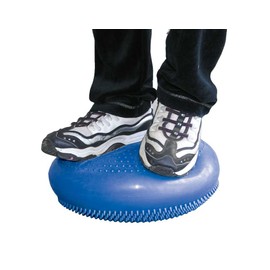 Great Lakes Sports Wobble Disc for Balance & Core Training