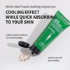 BENTON Aloe Propolis Soothing Gel 3.38 fl oz | Aloe
