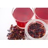 Tealia Pyramid Bags - Hibiscus Tea with Strawberry & Rosehip