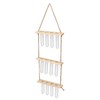 3 Tiered Wall Hanging Plant Terrarium with 12 Test Tubes