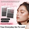 BEYELIAN Lashes Clusters D Curl 182 Pcs 10-16mm Cluster Lashes