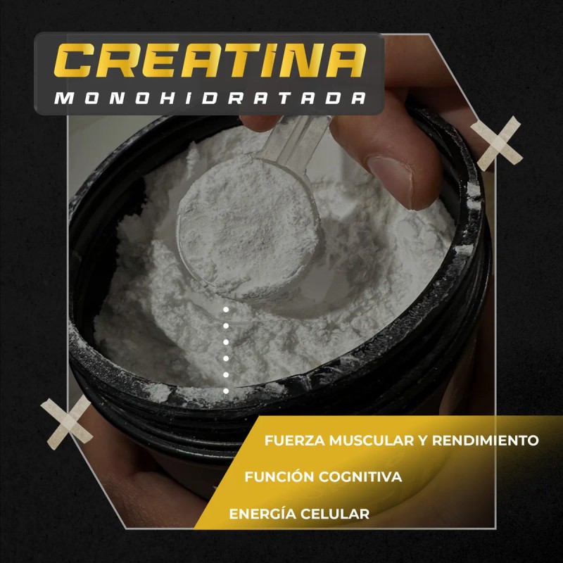 Creatina Monohidratada Alta Pureza En Polvo Sabor