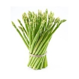 Jersey Knight Asparagus Plants Crowns Roots Bare Root Garden 25 Ea All Male by
