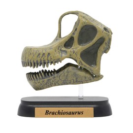 73506 Dinosaur burakiosaurusu Skull Mini Model (FDW – 506)
