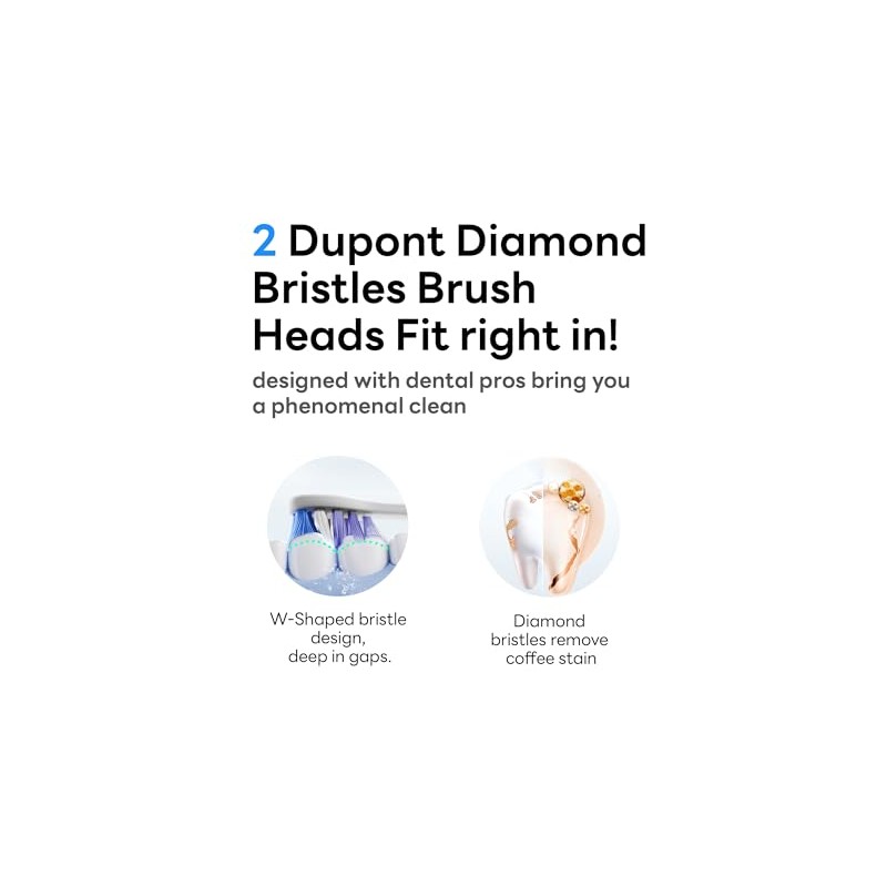 SAKYPRORAL SP14 Replacement Brush Heads for G5S/T2 Max Electric Toothbrush