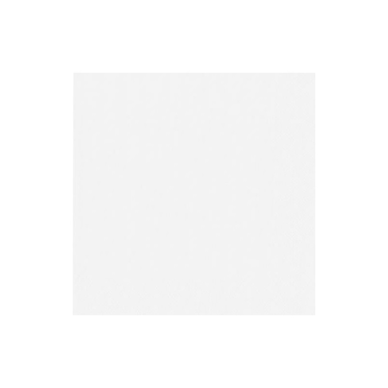 Napkins 2-Ply 40 x 40 cm / White / (Pack