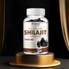 Pslalae- Shilajit Supplement - Supports Brain & Immune Health with