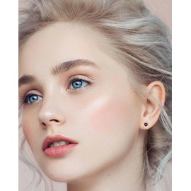 14K Gold Plated 925 Sterling Silver Post Rose Flower Stud Earrings for Women Birthstone Cubic Zirconia Studs Earrings Hypoallergenic & Nickel Free Jewelry Yellow Gold Plated Amethyst