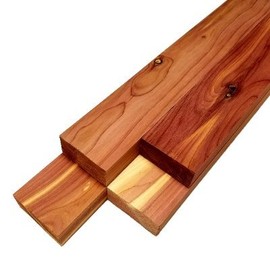 Barrington Hardwoods Cedar (Aromatic) Lumber - 3/4" x 2" (4 Pieces) (3/4" x 2" x 48")
