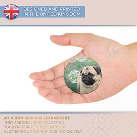 Destination Vinyl ltd Magnet for Refrigerator, Fridge - Cute Pug Playing Dog Puppy Pet for Office, Cabinet and Whiteboard, Magnetic Stickers, 16800